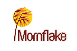 New promo- Voice of Mornflake TV bumpers